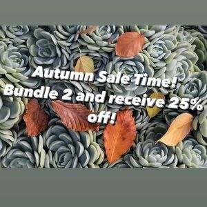 🔥 AUTUMN SALE! 🔥